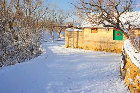 雪后的乡村