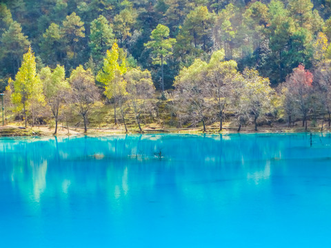 丽江蓝月谷玉液湖