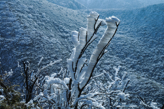 雪景冬天冬季