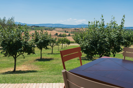 意大利葡萄酒庄户外餐桌和葡萄园