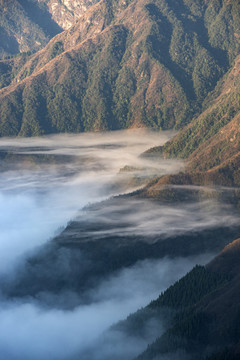 高山云海