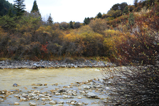 秋天的小河