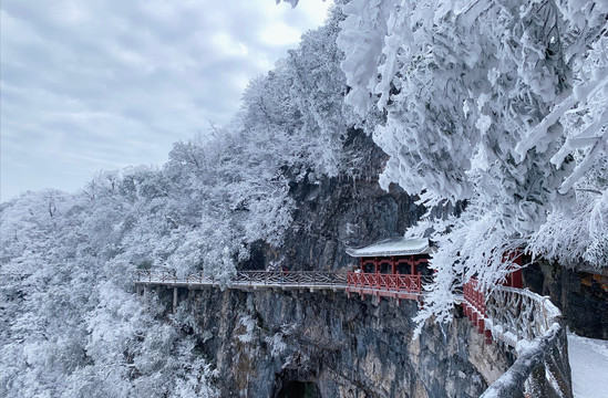 雪景