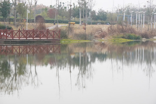 湖边风景