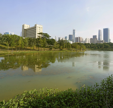 深圳中心公园人工湿地及城市风光