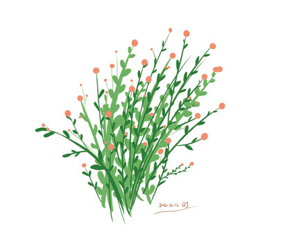 小花花