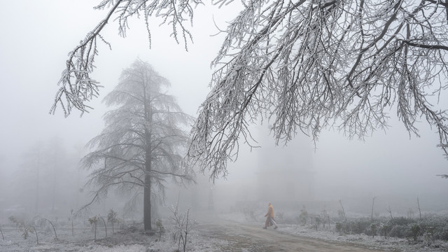 雪景