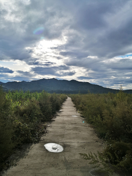 郊外风景