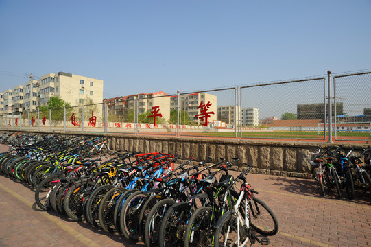 学生的自行车停放