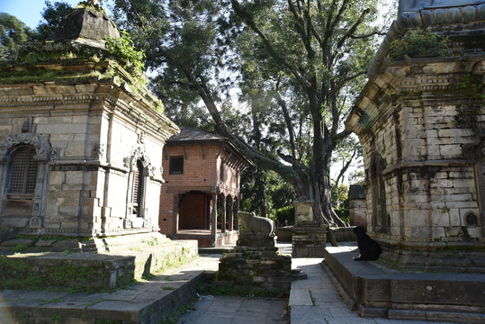尼泊尔古寺庙