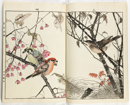 今尾景年花鸟画谱冬季桃树上的鸟