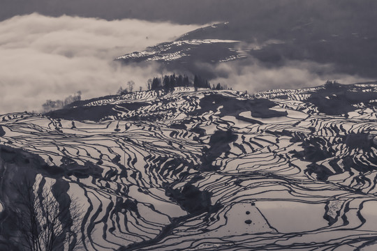 哈尼梯田大地上的版画艺术11