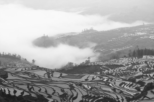 哈尼梯田大地上的版画艺术15