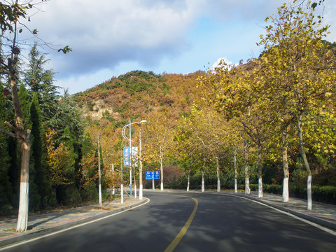 威海环海路