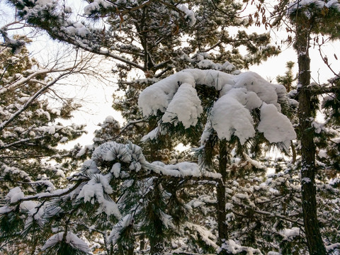 威海环翠楼公园