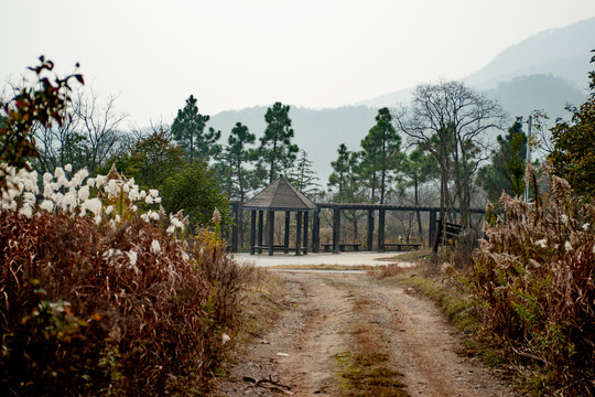 林间小路