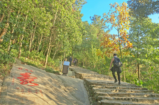 秋日登山风景