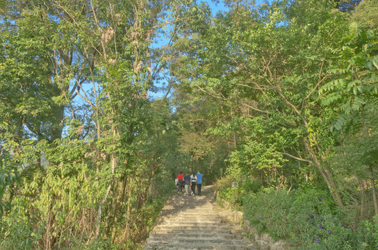 鼓山登山道掠影