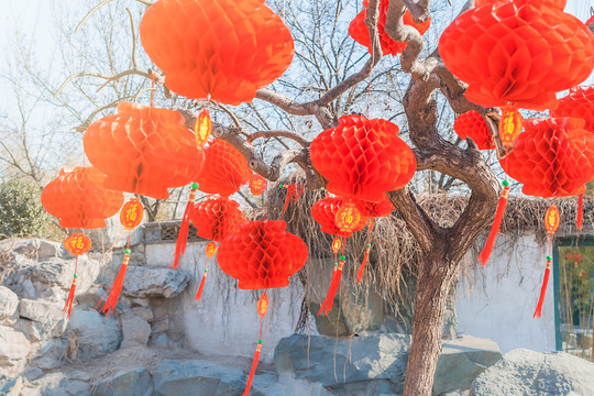 新年春节户外的喜庆红灯笼