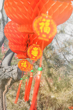 新年春节户外的喜庆红灯笼
