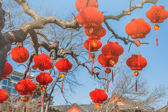 新年春节户外的喜庆红灯笼