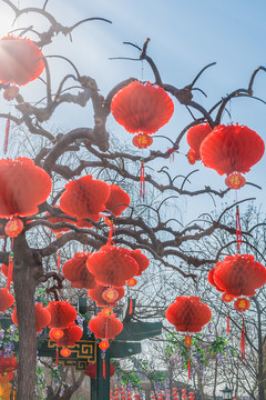 新年春节户外的喜庆红灯笼