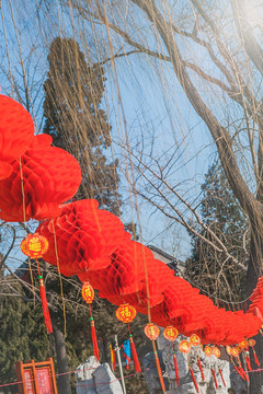 新年春节户外的喜庆红灯笼