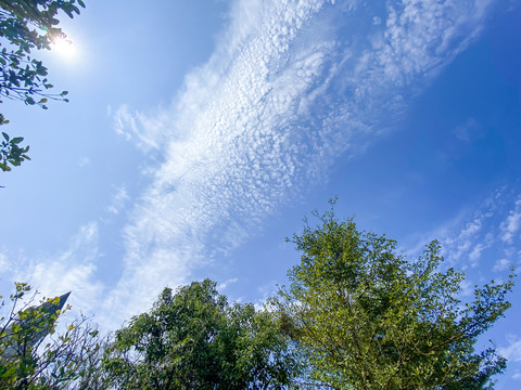 园林天空阳光