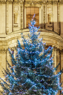 英国伦敦圣保罗大教堂前的圣诞树