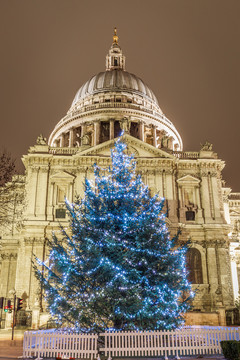 英国伦敦圣保罗大教堂前的圣诞树