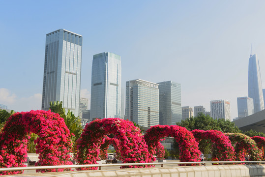 深圳市民中心园艺鲜花廊架