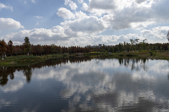 多彩湿地