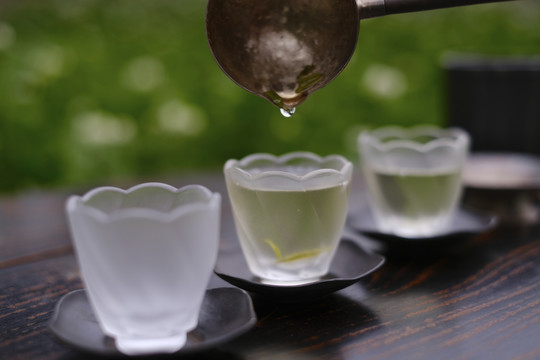 茶艺师泡茶