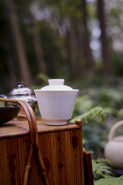 茶艺师泡茶