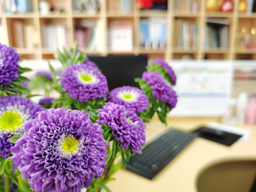办公室的花