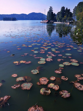 东湖落雁景区