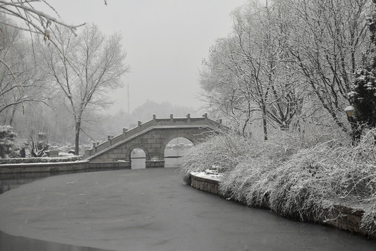 中央党校雪景如画