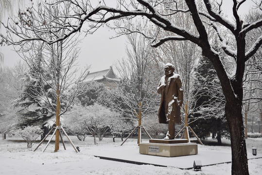 中央党校雪景