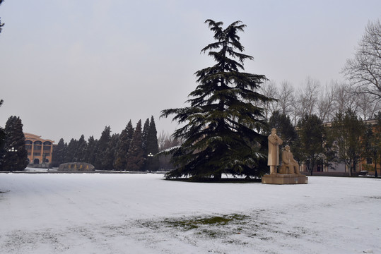 中央党校雪景如画