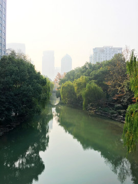 清晨的杭州东河