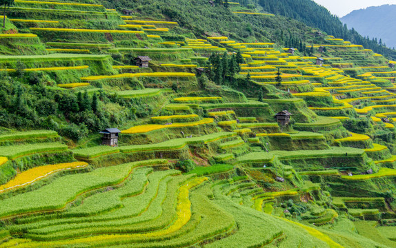 贵州加榜梯田