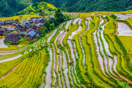 贵州加榜梯田