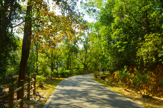 环湖道路