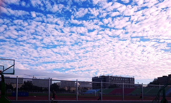 运动场上铺满云朵的天空