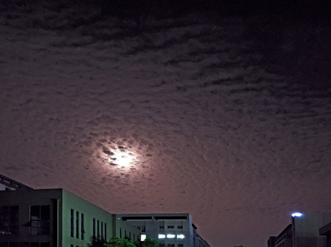 明月映照的浮云
