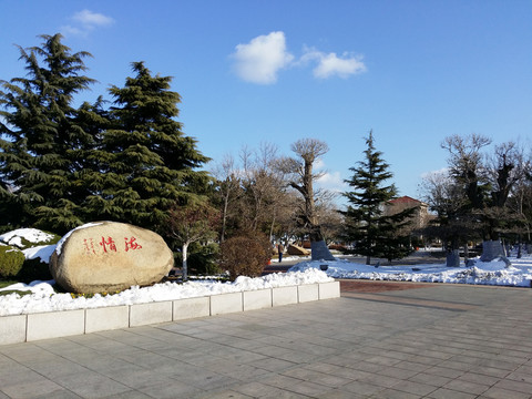 威海海滨生态公园