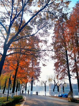 东湖绿道秋景