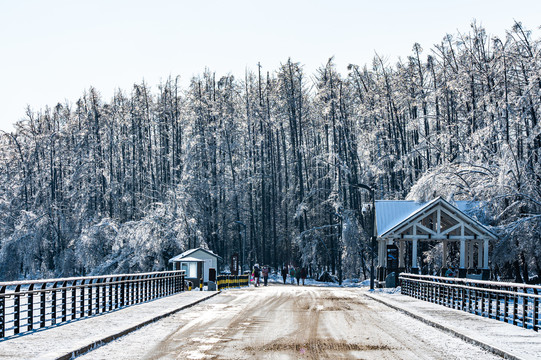 长春净月潭国家森林公园冬季雪景