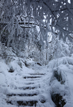 雪景