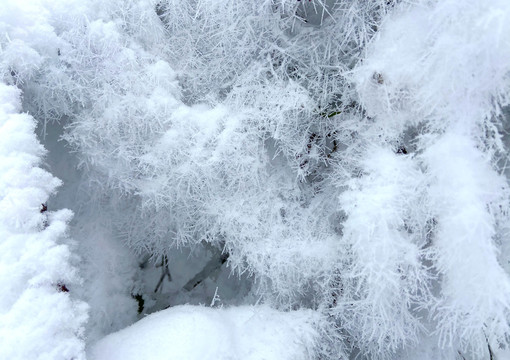 雪景